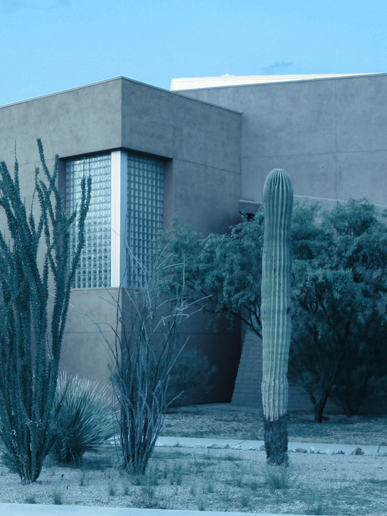 Academics Programs Pima Community College Tucson Arizona
