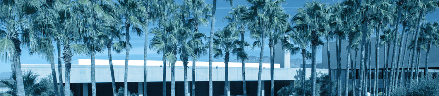 West Campus courtyard with palm trees