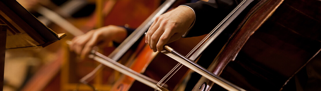 A side shot of a group of cellos being played