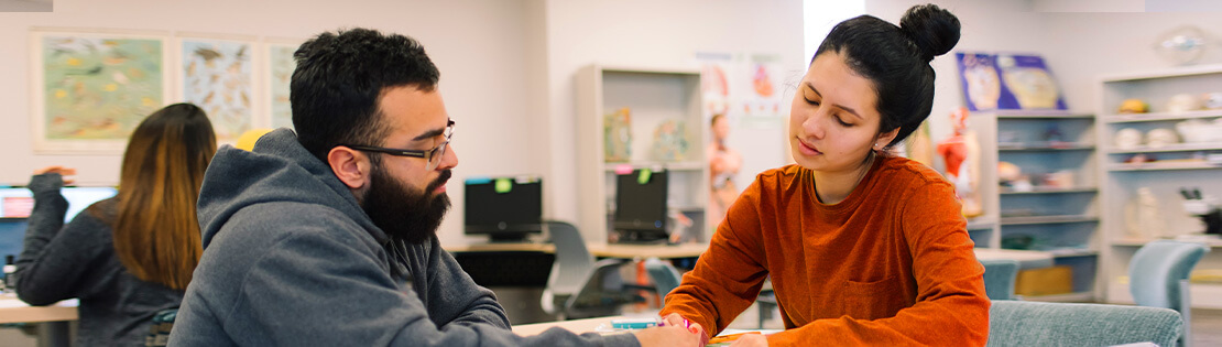 A Tutor assists another student in a campus library